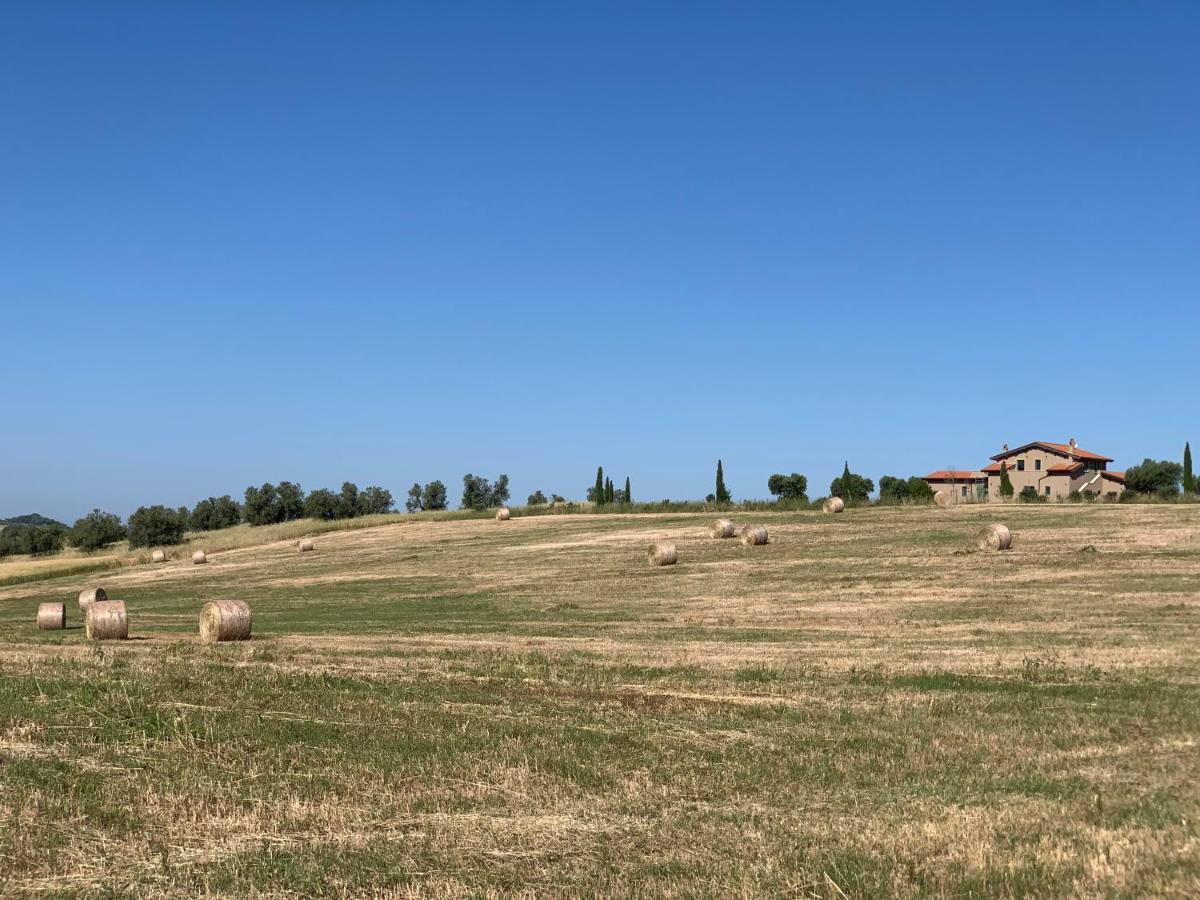 Villa Il Poggio Di Musignano à Musignano  Extérieur photo