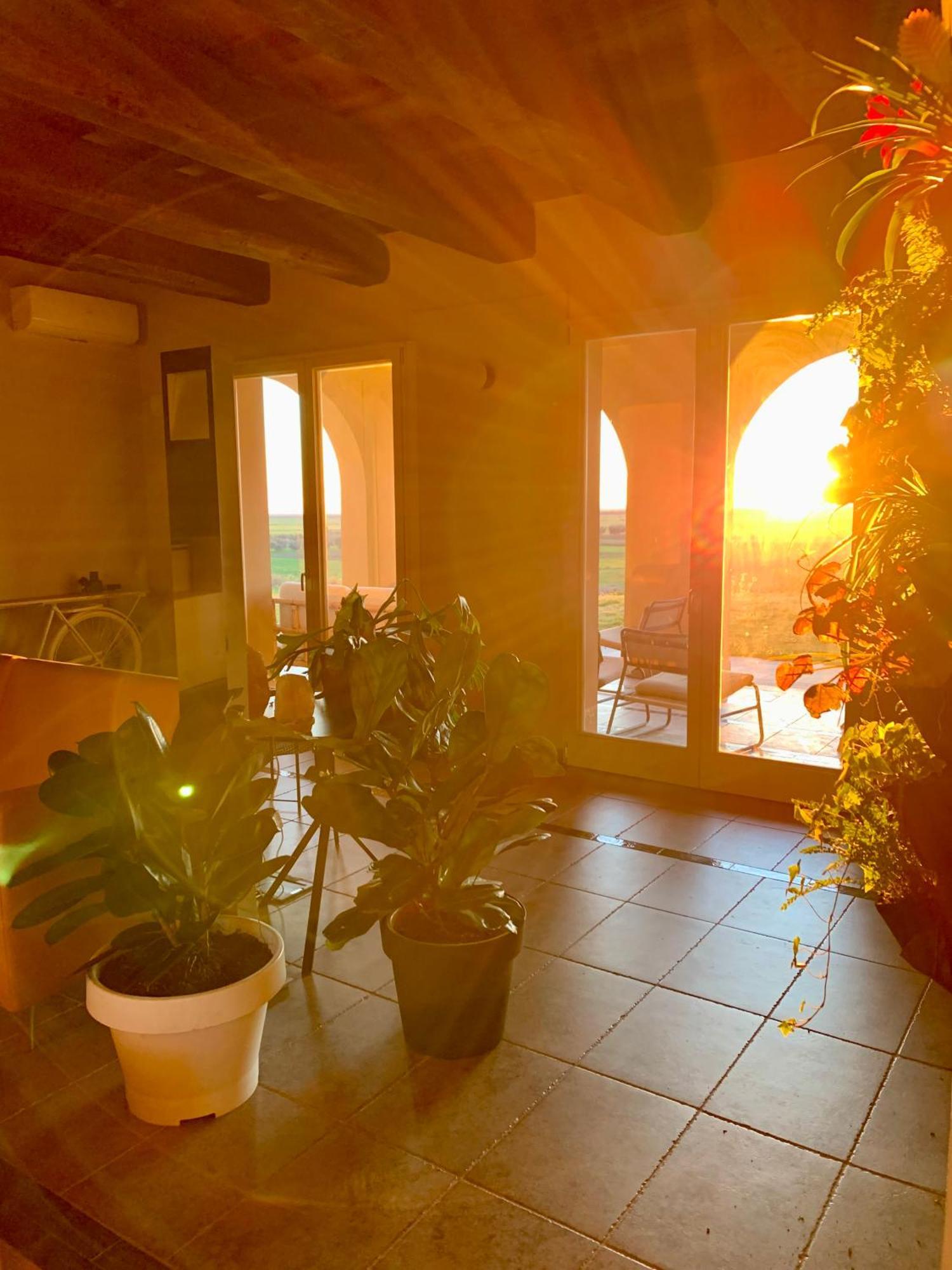 Villa Il Poggio Di Musignano à Musignano  Extérieur photo