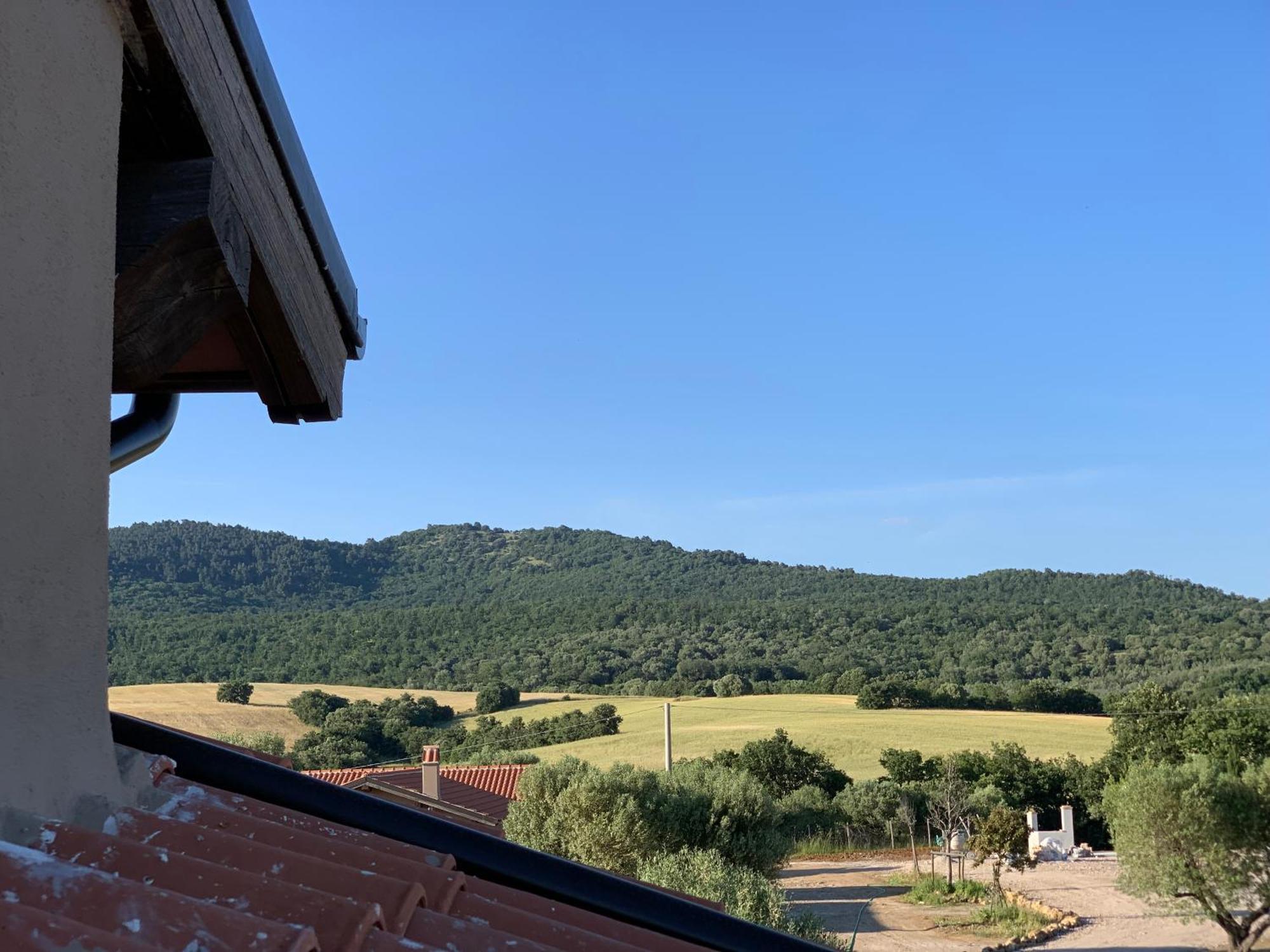 Villa Il Poggio Di Musignano à Musignano  Extérieur photo